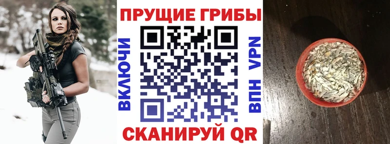 где купить наркоту  Сорочинск  Псилоцибиновые грибы GOLDEN TEACHER 