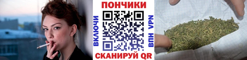 Канабис план Сорочинск